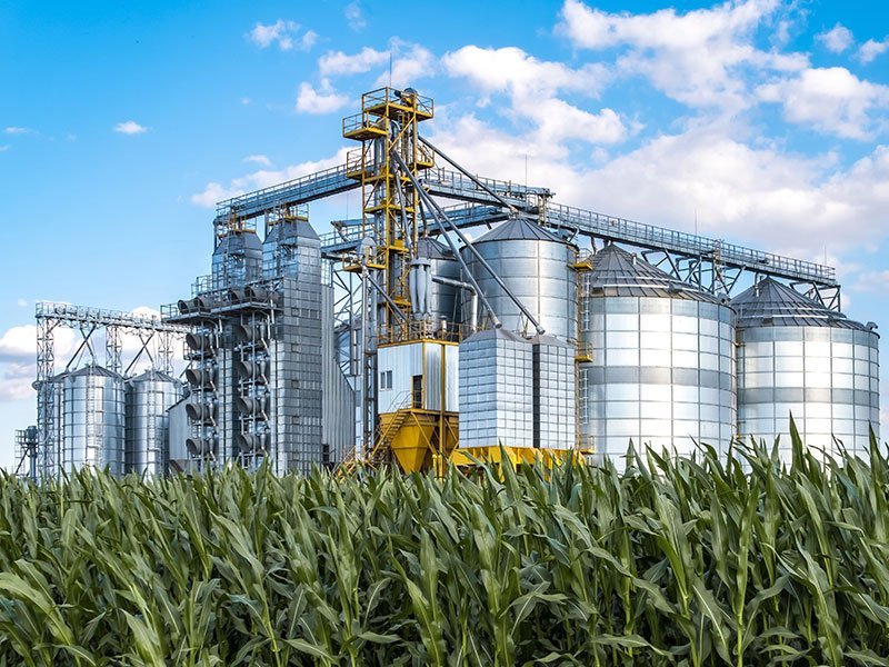 Agri-food products